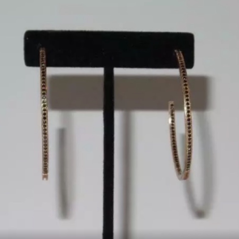 Gold Platted Hoop Earrings